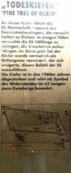 Die Strafen f&uuml;r H&auml;ftlinge waren meisten mit dem Tod verbunden. Die Todeskiefer war dieser Ort der Hinrichtungen.